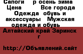 Сапоги 35 р.осень-зима  › Цена ­ 700 - Все города Одежда, обувь и аксессуары » Мужская одежда и обувь   . Алтайский край,Заринск г.